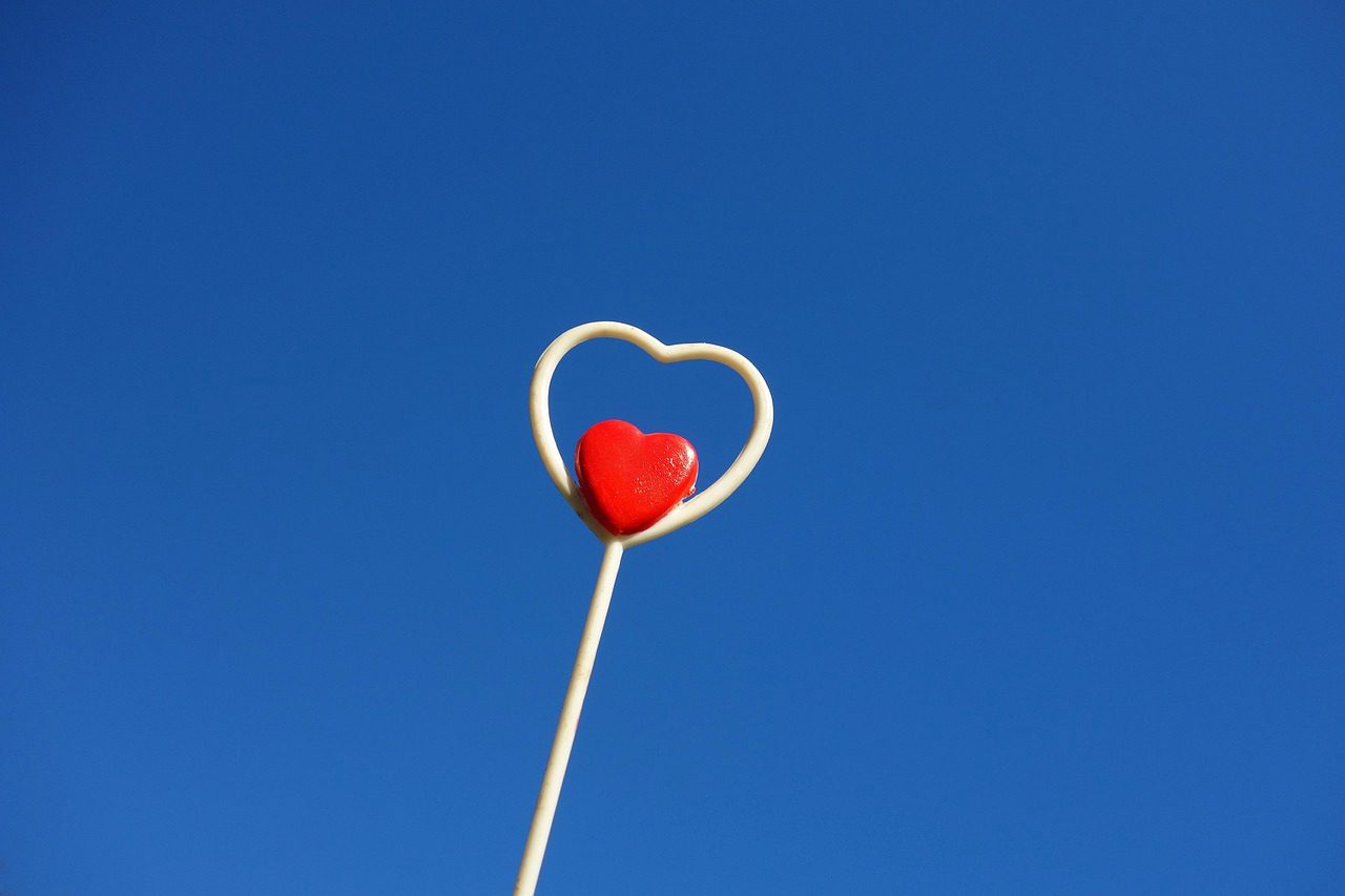 Imagen
